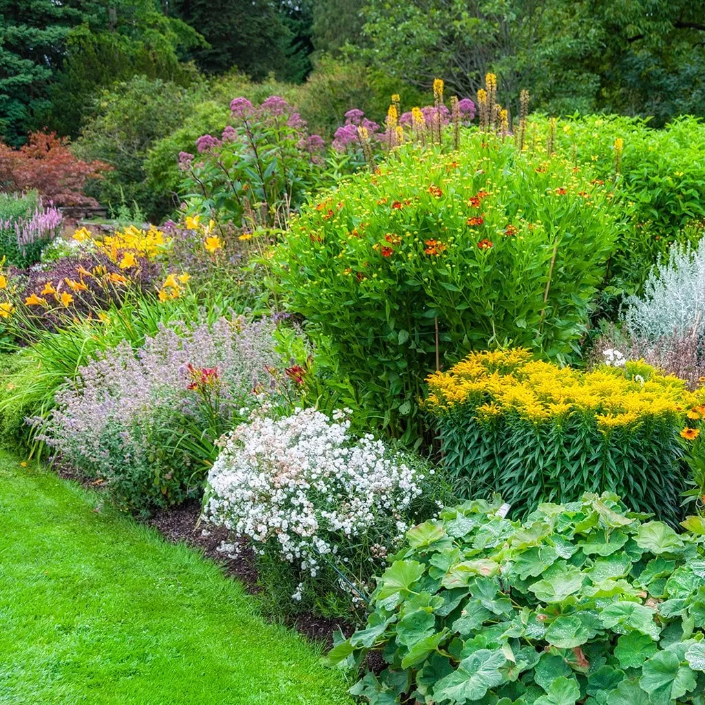 Softscape & Planting Works